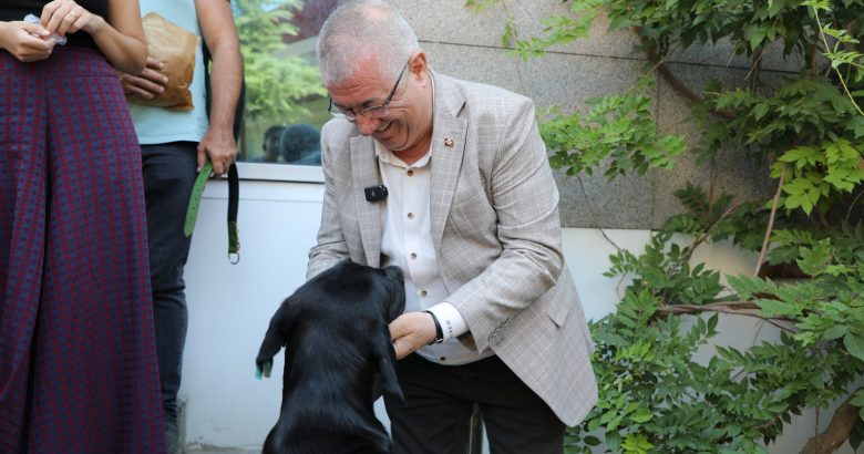  Edremit Belediye Başkanı Mehmet Ertaş Sokak Köpeğini Sahiplendi