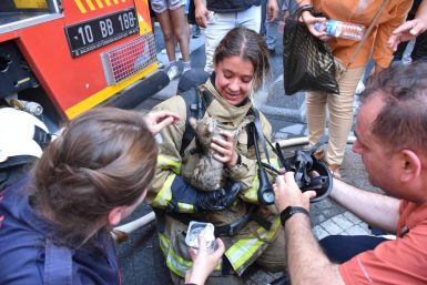 BBB nin Kahraman İtfaiye Eri kedinin hayatını kurtardı