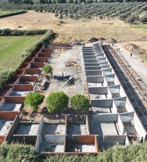 Edremit’te can dostlar yuvasına kavuşuyor