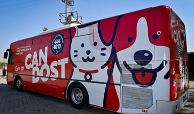 Balıkesir sokaktaki canlara sahip çıkıyor, sahipsiz bırakmıyor