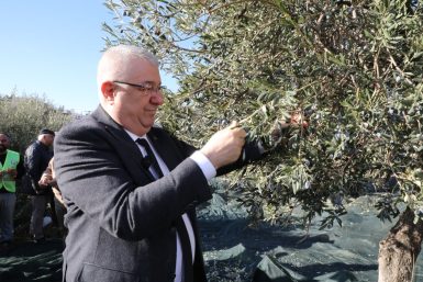 “Tek bir zeytin tanesi heba olmuyor”