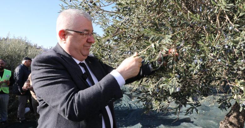  “Tek bir zeytin tanesi heba olmuyor”