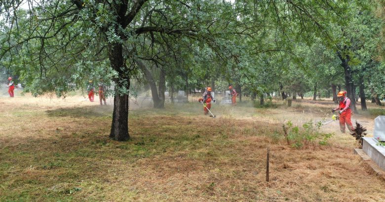  Büyükşehir Kurban Bayramı hazırlıklarını tamamladı