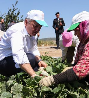 Canbey çiftçinin yanında