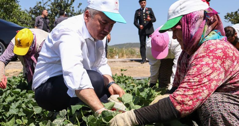  Canbey çiftçinin yanında