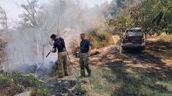Balıkesir İtfaiyesi ve Can Dost ekibi Bursa’da görev başında