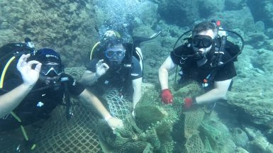 Büyükşehir Ayvalık’ta yasa dışı trol ağını temizledi