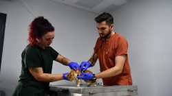 Balıkesir’de can dostlar Büyükşehir eliyle güvende